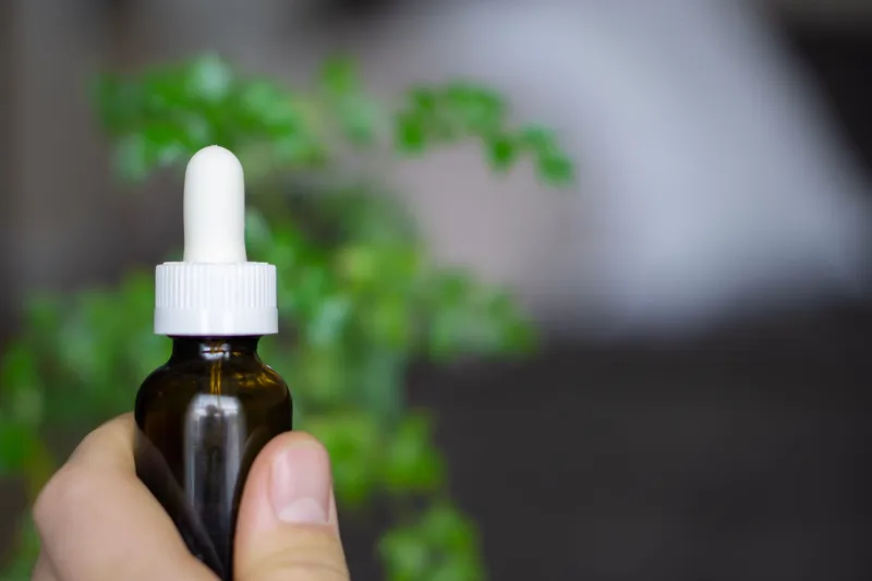 Does Your CBD Go Bad? The Science of Cannabinoid Degradation and What It Means for Your Shelf